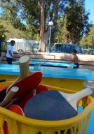 ping pong
